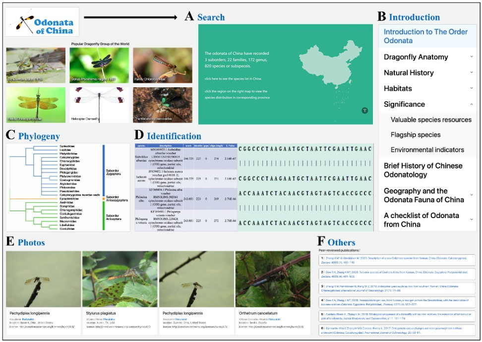 电子游戏app下载安装