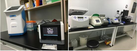 电子游戏app下载安装