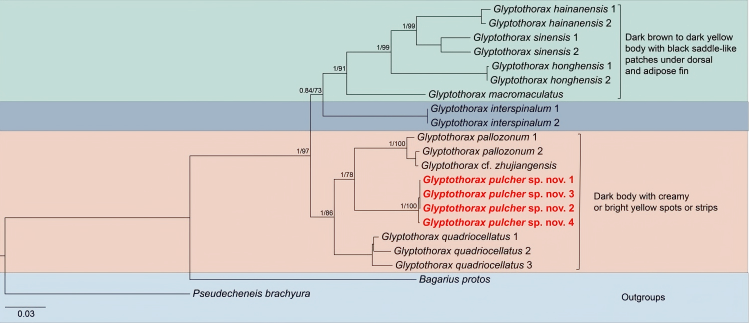 电子游戏app下载安装