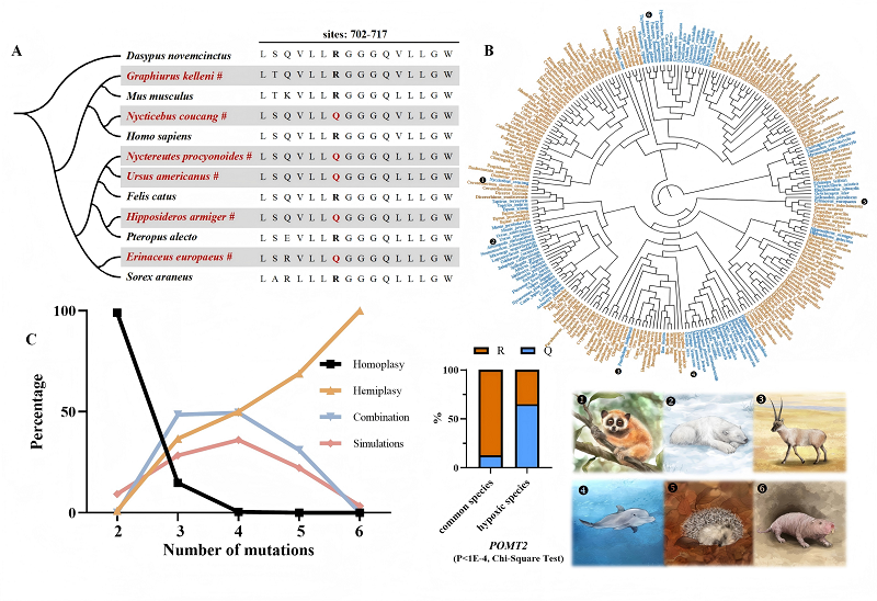 电子游戏app下载安装