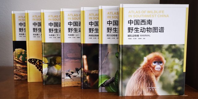 电子游戏app下载安装