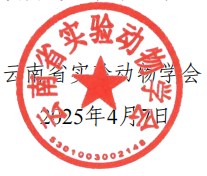 电子游戏app下载安装