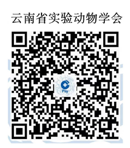 电子游戏app下载安装