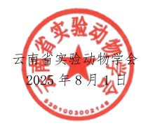 电子游戏app下载安装