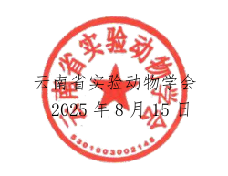 电子游戏app下载安装