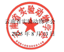 电子游戏app下载安装