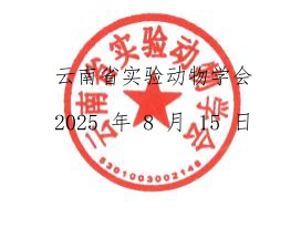 电子游戏app下载安装