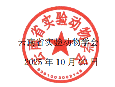 电子游戏app下载安装