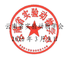 电子游戏app下载安装