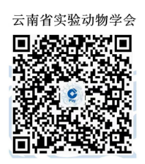 电子游戏app下载安装