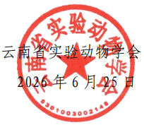 电子游戏app下载安装