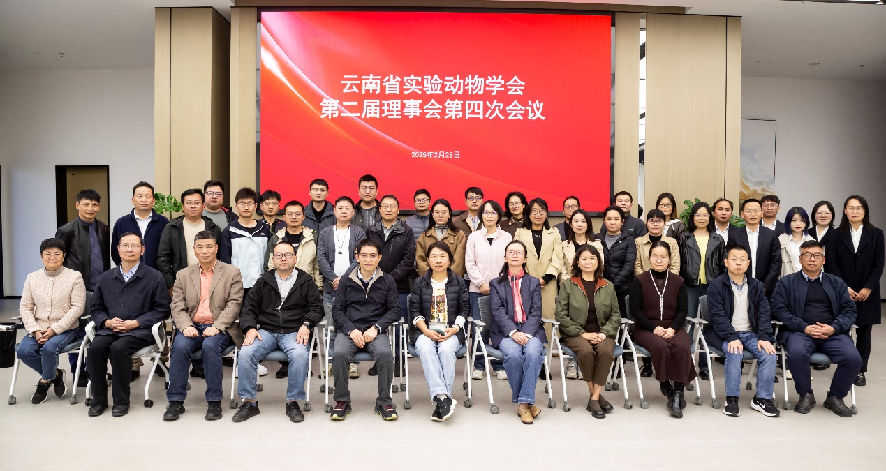 电子游戏app下载安装