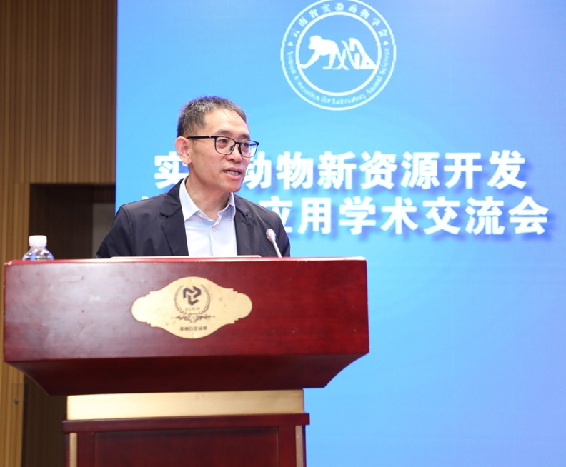 电子游戏app下载安装