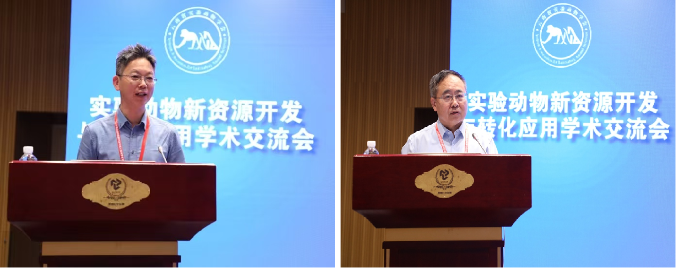 电子游戏app下载安装