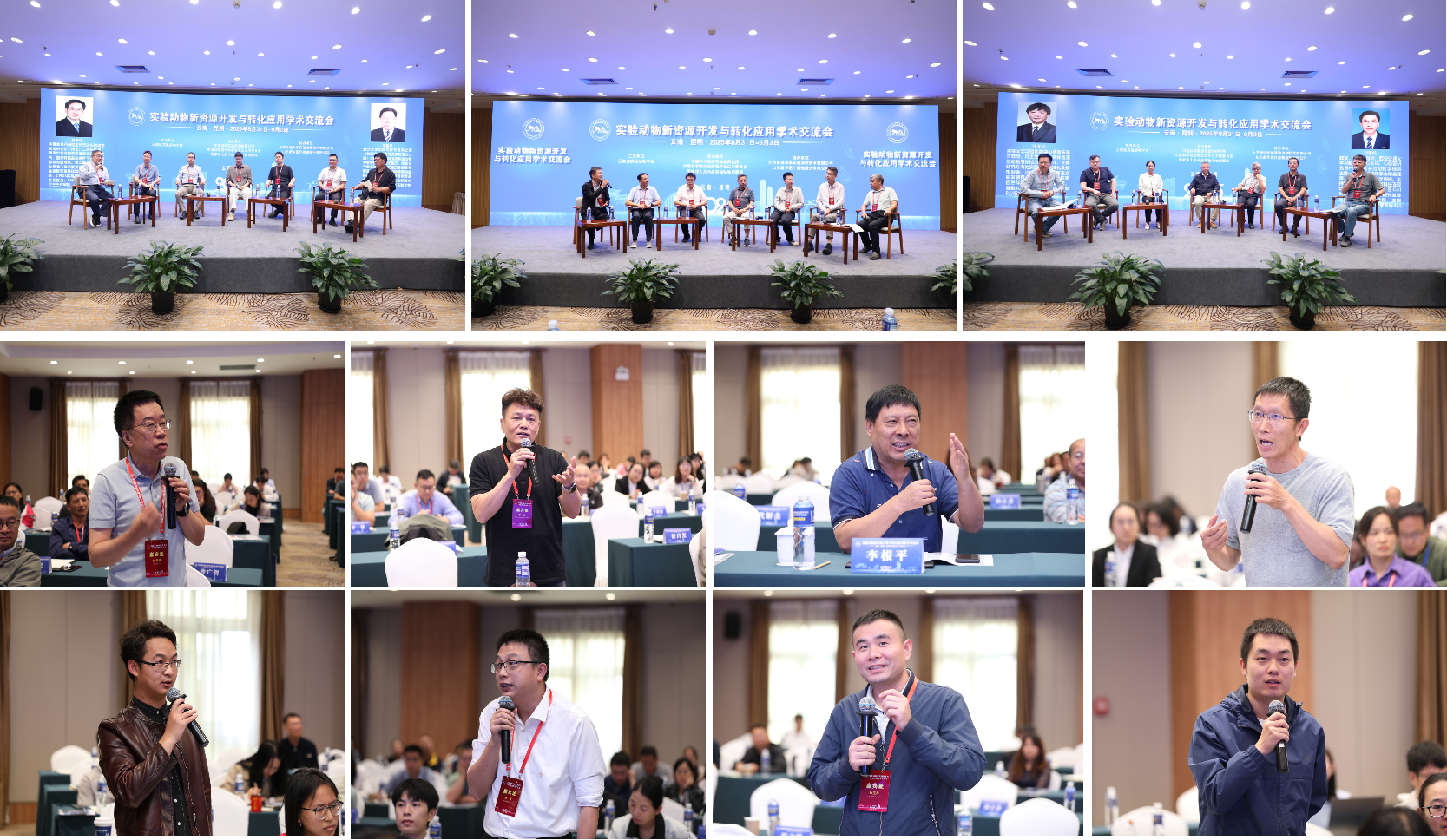 电子游戏app下载安装