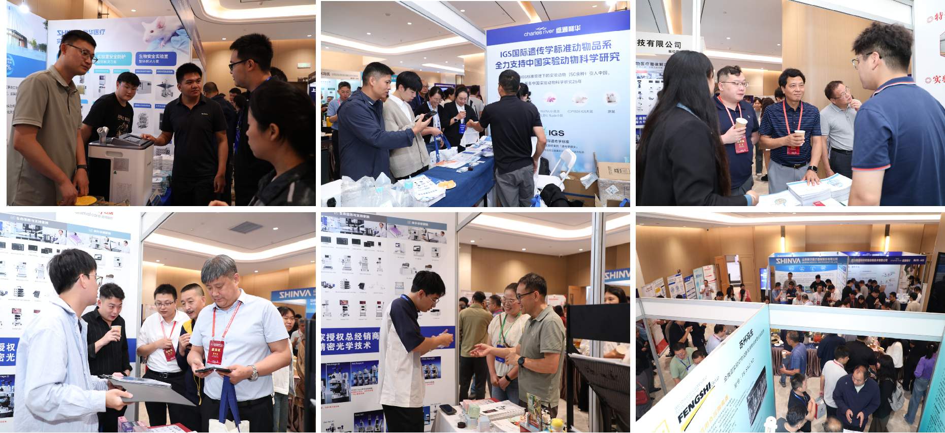 电子游戏app下载安装