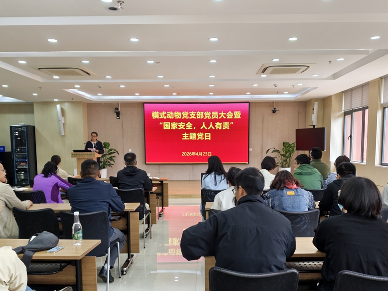 电子游戏app下载安装