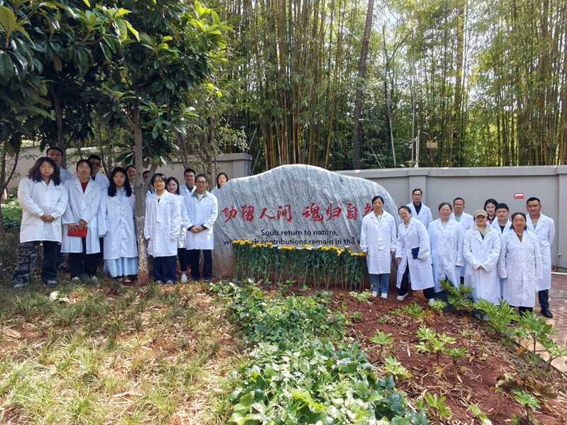 电子游戏app下载安装