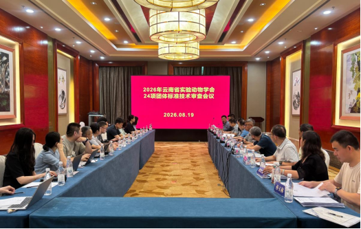 电子游戏app下载安装