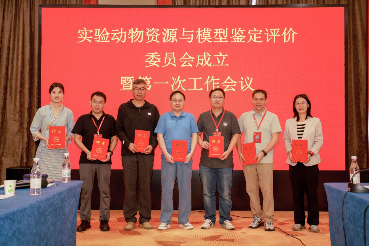 电子游戏app下载安装