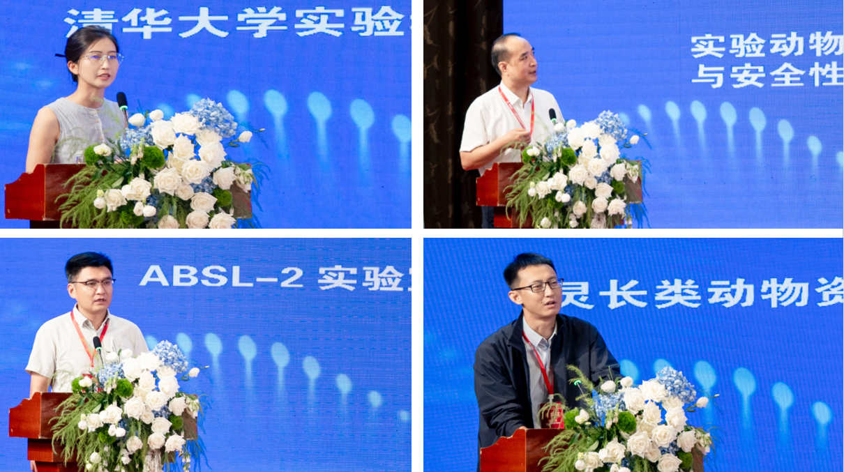 电子游戏app下载安装