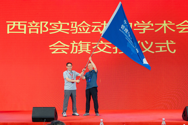 电子游戏app下载安装