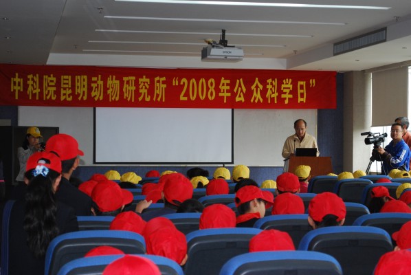 电子游戏app下载安装