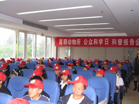 电子游戏app下载安装