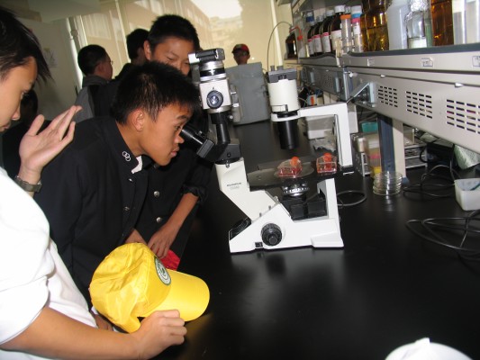 电子游戏app下载安装