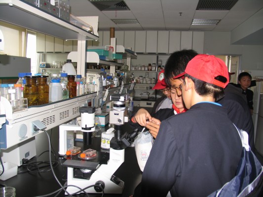 电子游戏app下载安装