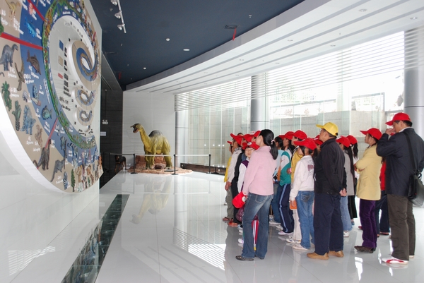 电子游戏app下载安装