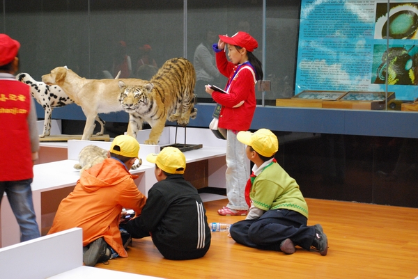 电子游戏app下载安装