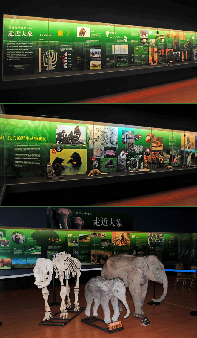 电子游戏app下载安装