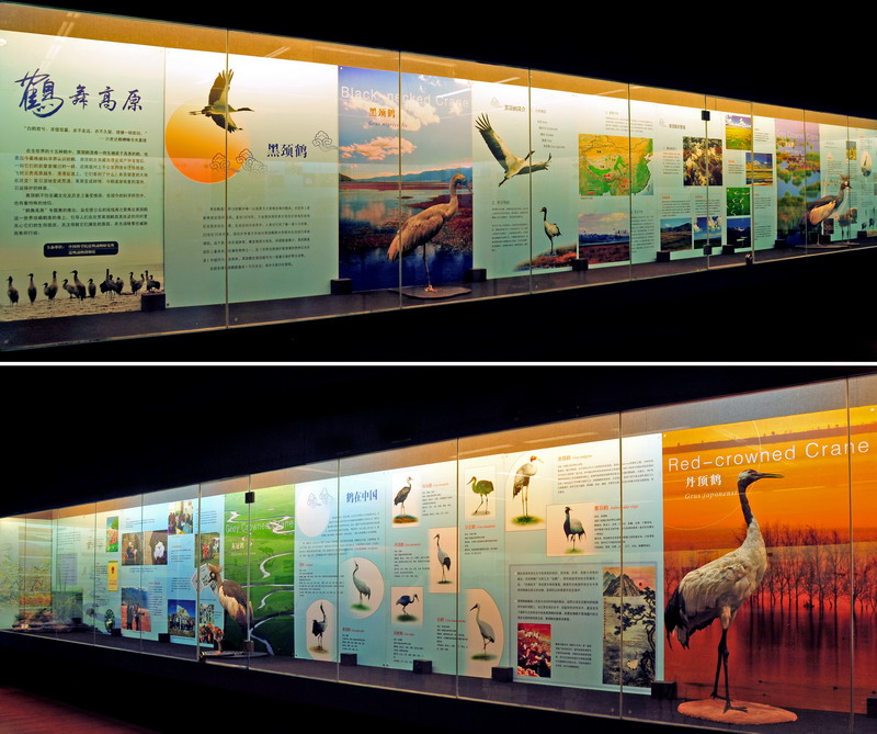 电子游戏app下载安装