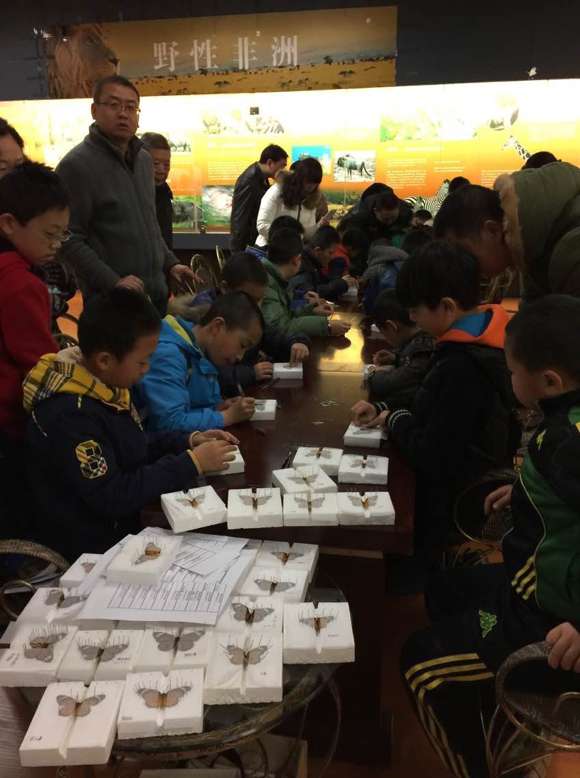 电子游戏app下载安装