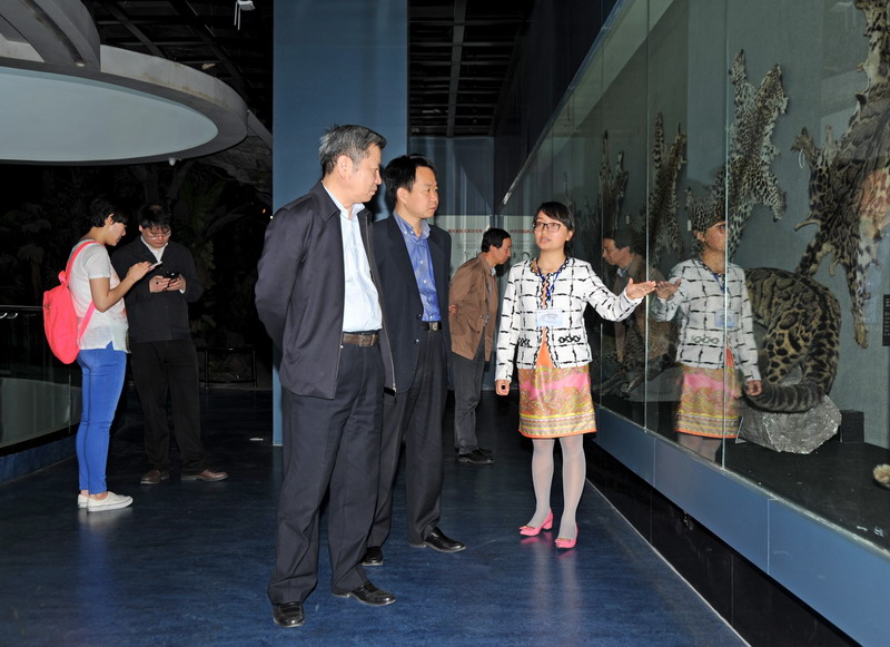 电子游戏app下载安装