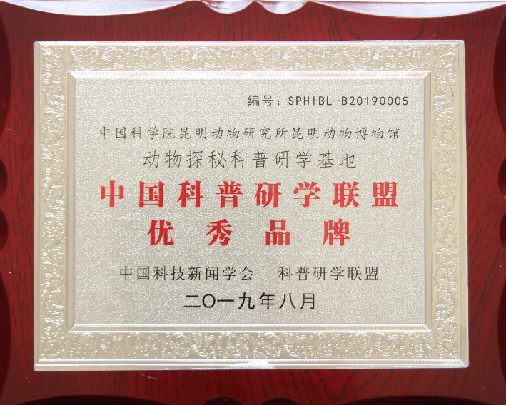 电子游戏app下载安装