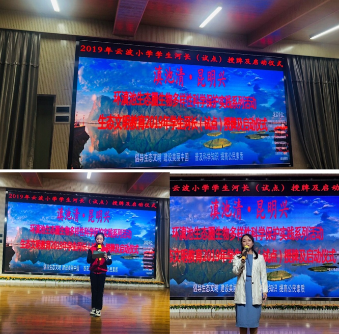 电子游戏app下载安装