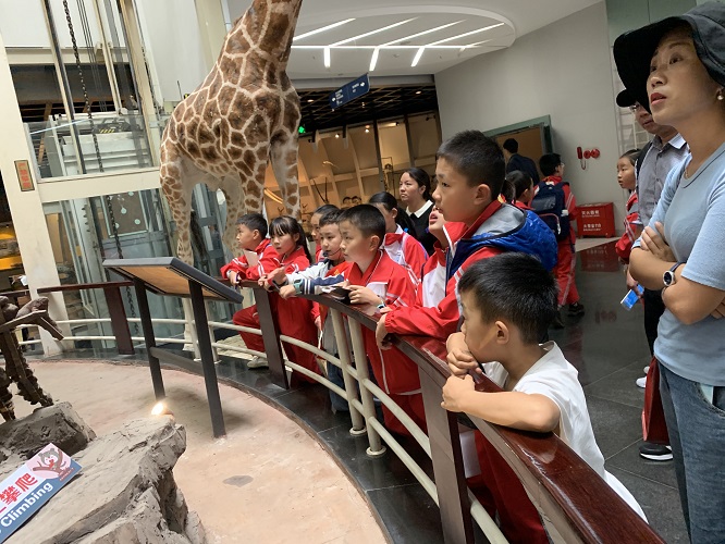 电子游戏app下载安装