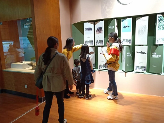 电子游戏app下载安装