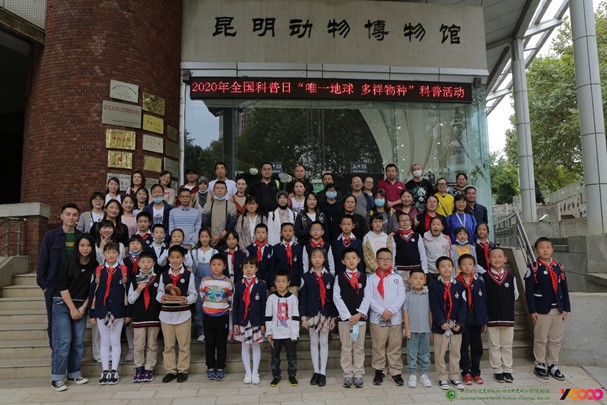 电子游戏app下载安装