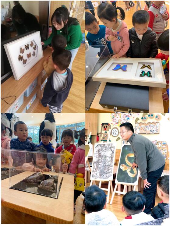 电子游戏app下载安装