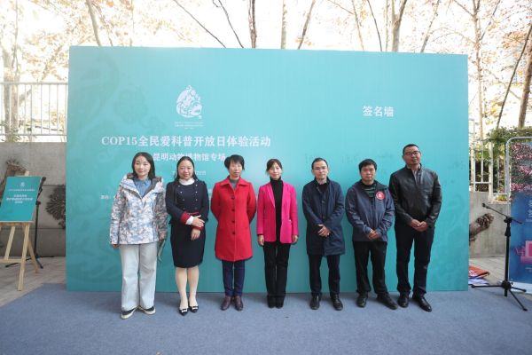 电子游戏app下载安装