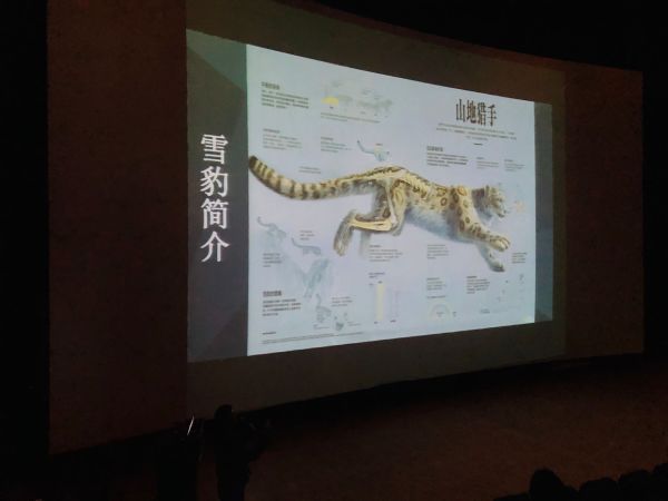 电子游戏app下载安装