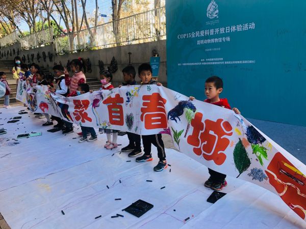 电子游戏app下载安装