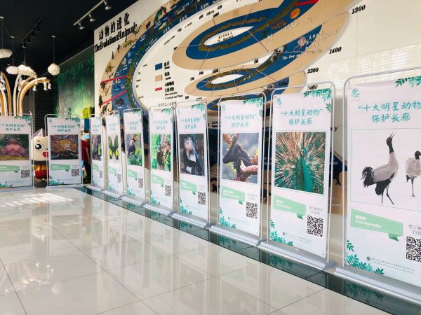 电子游戏app下载安装