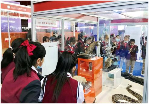 电子游戏app下载安装