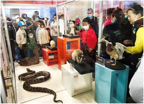 电子游戏app下载安装