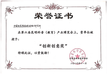 电子游戏app下载安装