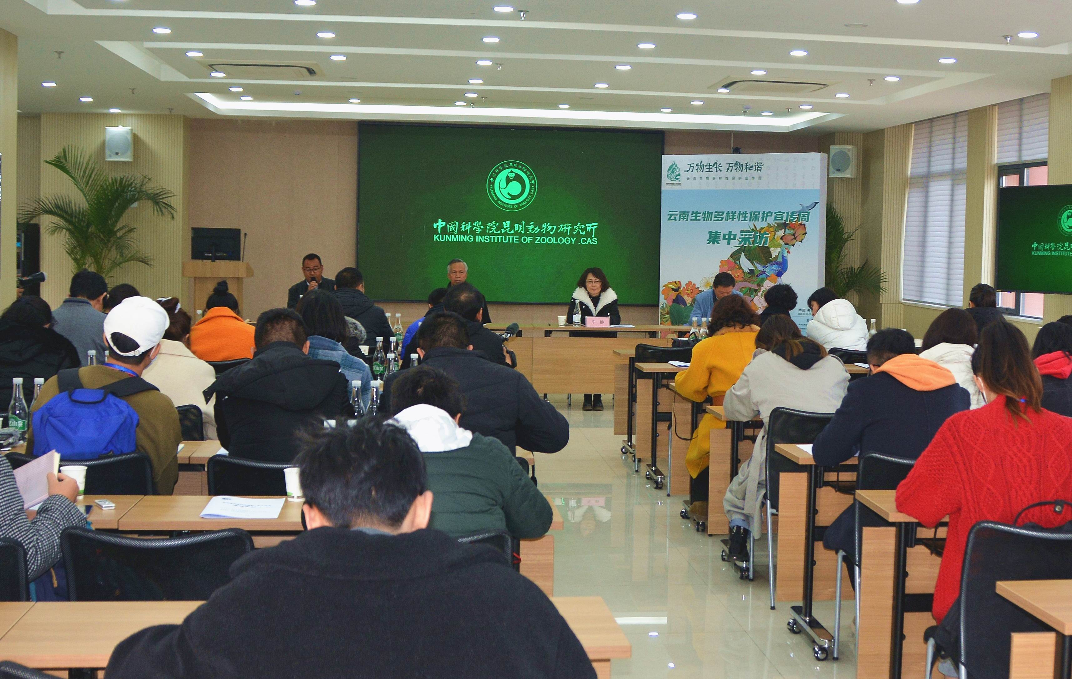 电子游戏app下载安装